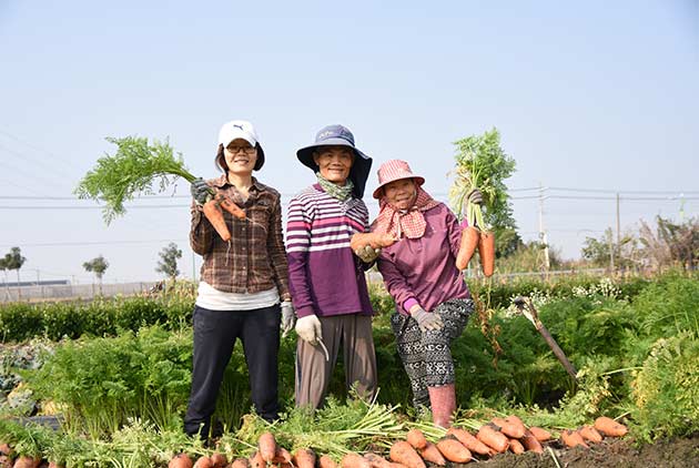 閱讀產地到餐桌的故事 《雲林食通信》 遇見認真對待食材的人